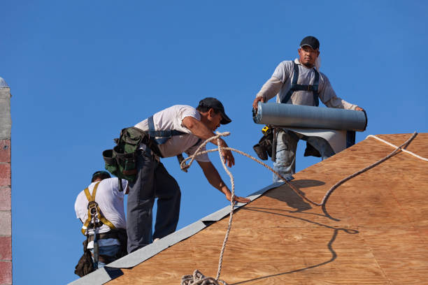 Best Roof Gutter Cleaning  in Sunflower, MS